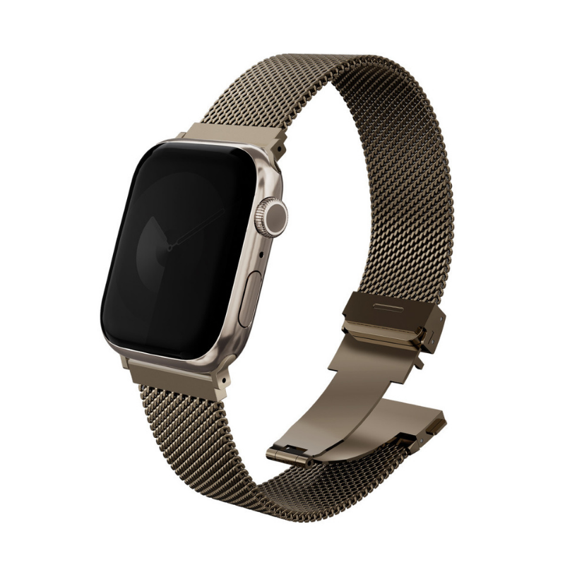 Apple Watch Dante Pro Çelik Örgü Kordon